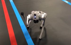 Robotic dog at Pax8 Beyond 2025