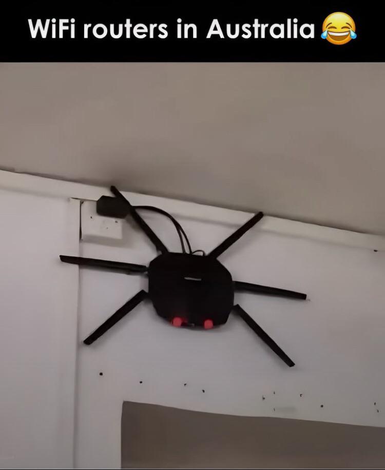 aussie